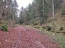 Suisse, chemin des Alliés
